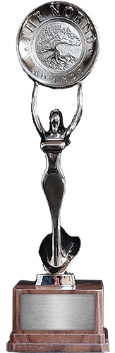 The Norns Awards - silver